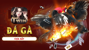 Đá Gà Cựa Sắt: Siêu kê đại chiến kịch tính cùng Twin68 10 đá gà cựa sắt