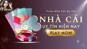 Nhà cái Twin68 uy tín “Ông Trùm” chiếm lĩnh thị trường hàng đầu 2024 9 nhà cái Twin68 uy tín