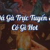 Chơi Đá Gà Online Đầy Kịch Tính Cùng Twin68 Trải Nghiệm