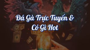 Chơi Đá Gà Online Đầy Kịch Tính Cùng Twin68 Trải Nghiệm 1 Đá gà trực tuyến có gì hot?