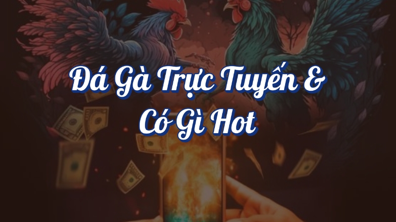 Đá gà trực tuyến có gì hot?