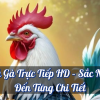 Đá Gà Trực Tiếp HD – Sắc Nét Đến Từng Chi Tiết Tại Twin68