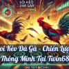 Soi Kèo Đá Gà – Chiến Lược Thông Minh Tại Twin68